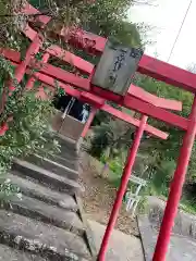 白玉稲荷大明神の鳥居