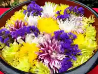 増上寺塔頭 三縁山 宝珠院の庭園