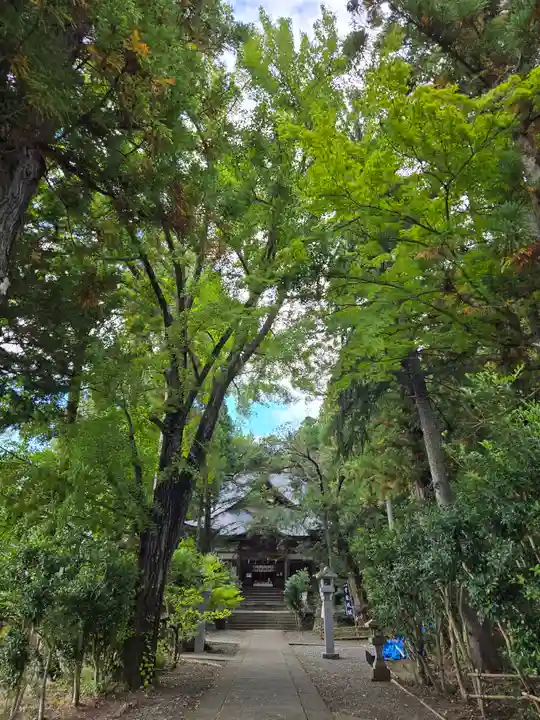 皆神神社(長野県)