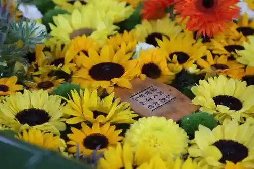 住吉神社の手水舎