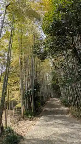稲荷神社(灰方鎮座)(京都府)