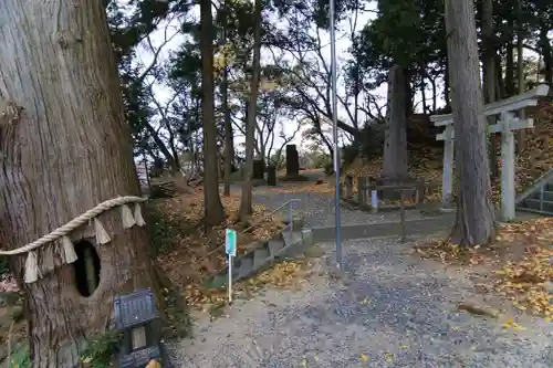 阿久津「田村神社」（郡山市阿久津町）旧社名：伊豆箱根三嶋三社の景色