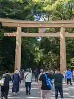 明治神宮(東京都)