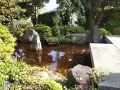 観音寺の庭園