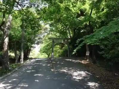 小垣江神明神社の鳥居