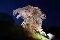 天神さまの祠の自然