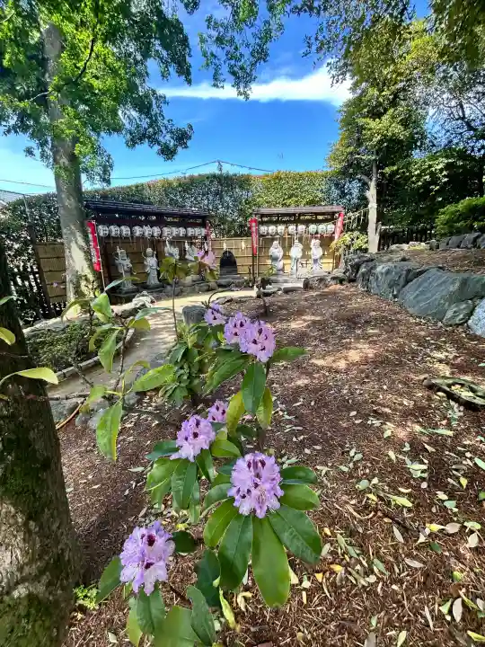 中野沼袋氷川神社(東京都)