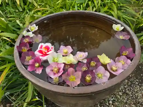 円照寺(兵庫県)