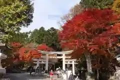 三峯神社(埼玉県)