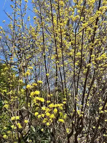葛西神社(東京都)