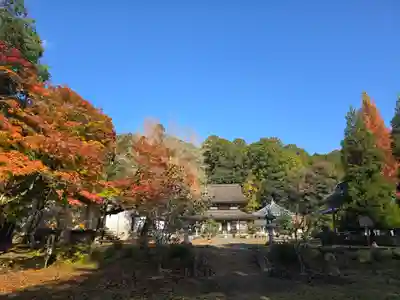 天寧寺(京都府)