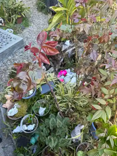 三輪神社(愛知県)