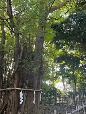 大國魂神社(東京都)