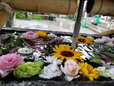 鳩森八幡神社の手水舎