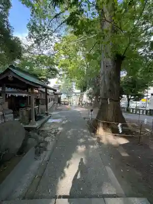今宮神社の{uncategorized: "未分類", other: "その他", undefined: "問題あり", building: "その他建物", grave: "お墓", sacred_gate: "鳥居", guardian: "狛犬", statue: "像", buddha: "仏像", history: "歴史", nature: "自然", garden: "庭園", animal: "動物", pagoda: "塔", temizu: "手水舎", mountain_gate: "山門・神門", sanctuary: "本殿・本堂", subordinate: "末社・摂社", art: "芸術", scenery: "景色", jizo: "地蔵", ema: "絵馬", goshuin: "御朱印", omikuji: "おみくじ", items: "授与品その他", amulet: "お守り", goshuincho: "御朱印帳", eats: "食事", festival: "お祭り", votive_dance: "神楽", shichigosan: "七五三参", wedding: "結婚式", experience: "体験その他", initially: "初詣", around: "周辺", anti_infection: "感染症対策"}