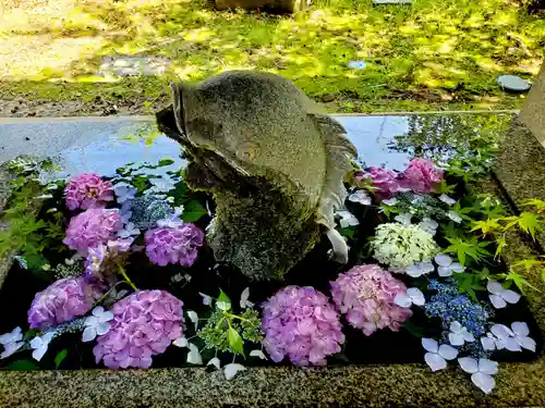 神炊館神社 ⁂奥州須賀川総鎮守⁂の手水