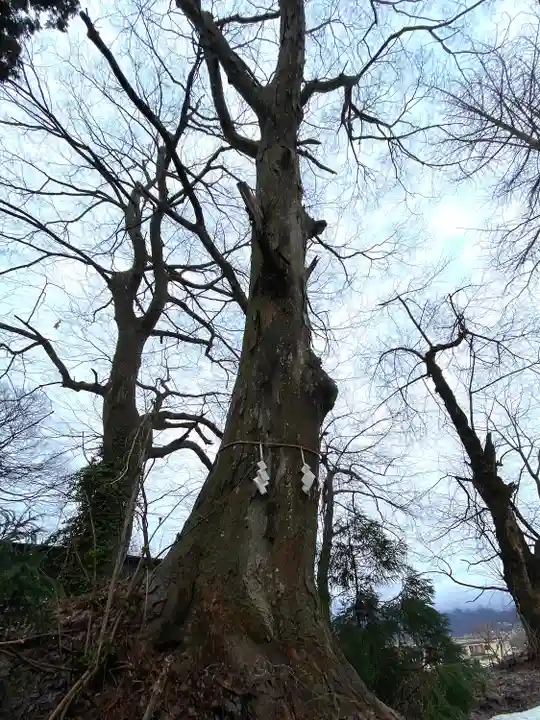 飯笠山神社(長野県)
