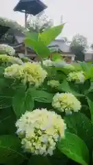 尾張大國霊神社（国府宮）の自然