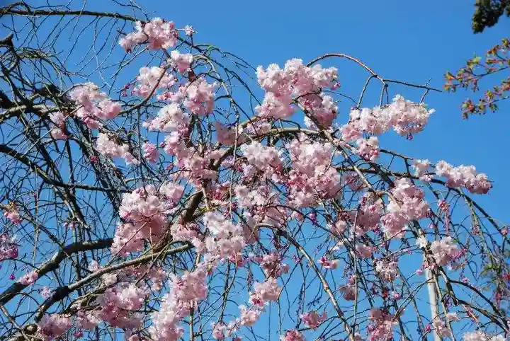 住吉神社(山口県)