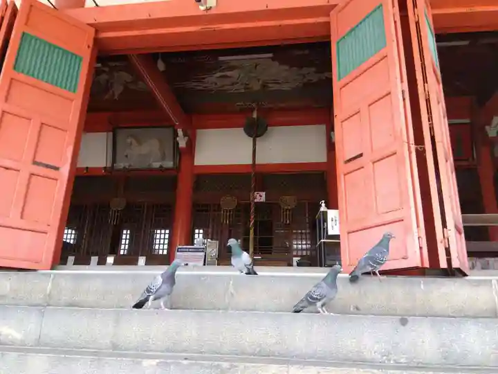 津観音の本殿・本堂