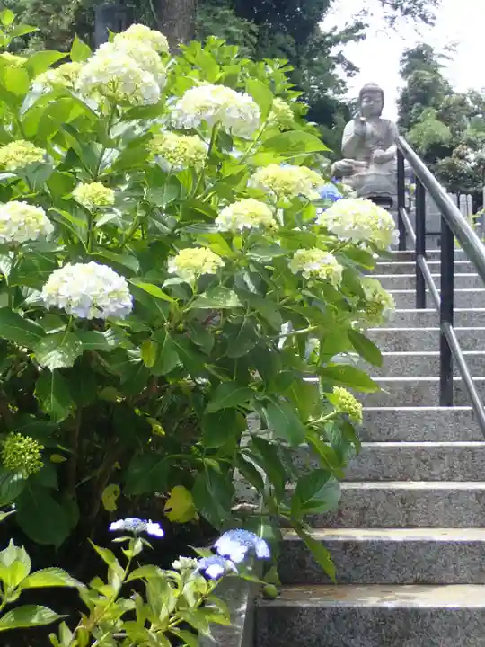 妙楽寺(神奈川県)