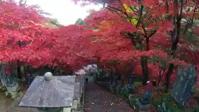 大山寺(神奈川県)