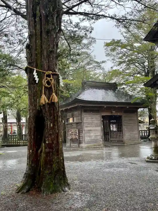 淺間神社(忍野八海)の自然