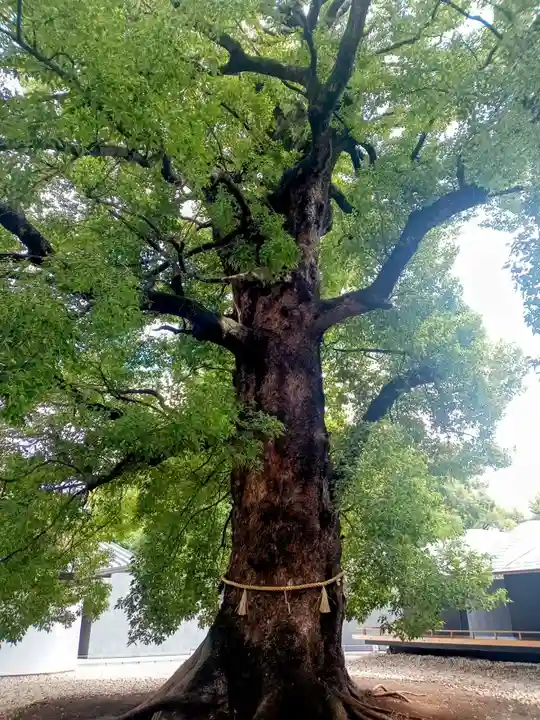 上野東照宮(東京都)