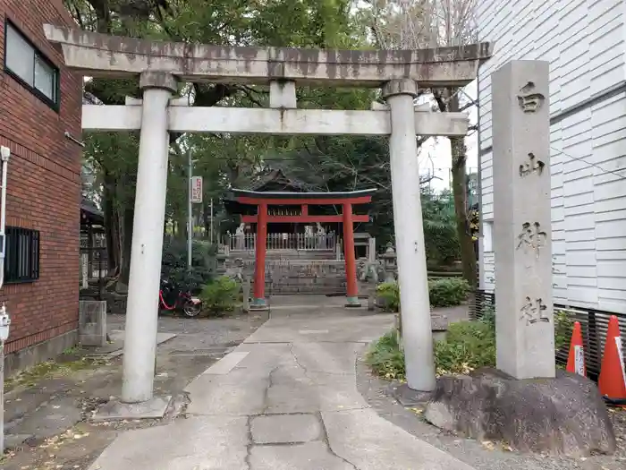 白山神社（大須白山神社）の鳥居