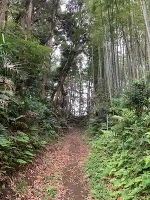 稲荷大明神(千葉県)