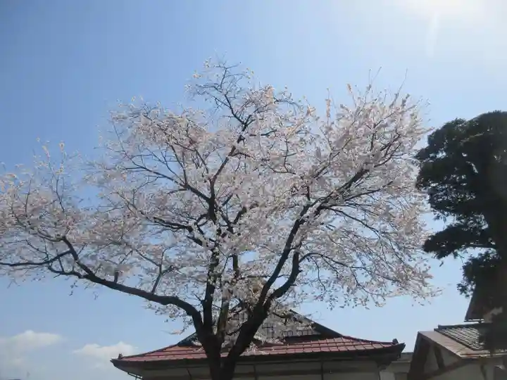 了源寺(群馬県)