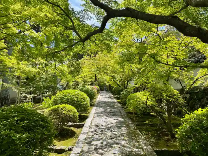 酬恩庵一休寺(京都府)