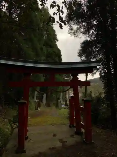 八雲神社の鳥居