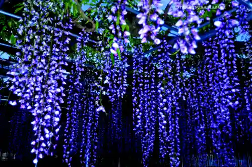 白旗神社(神奈川県)
