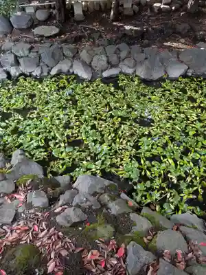 七渡神社（七渡弁天社）(東京都)