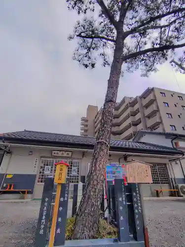 別小江神社の自然