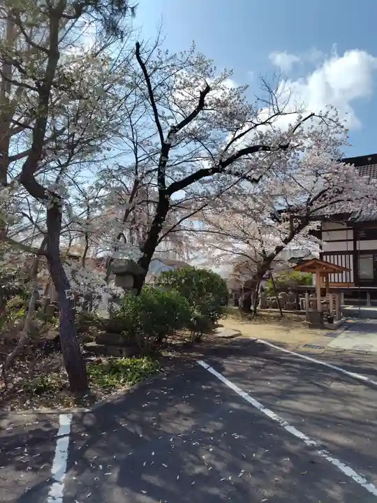 妙林寺(福島県)