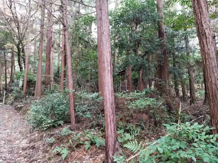 國狭槌神社の{uncategorized: "未分類", other: "その他", undefined: "問題あり", building: "その他建物", grave: "お墓", sacred_gate: "鳥居", guardian: "狛犬", statue: "像", buddha: "仏像", history: "歴史", nature: "自然", garden: "庭園", animal: "動物", pagoda: "塔", temizu: "手水舎", mountain_gate: "山門・神門", sanctuary: "本殿・本堂", subordinate: "末社・摂社", art: "芸術", scenery: "景色", jizo: "地蔵", ema: "絵馬", goshuin: "御朱印", omikuji: "おみくじ", items: "授与品その他", amulet: "お守り", goshuincho: "御朱印帳", eats: "食事", festival: "お祭り", votive_dance: "神楽", shichigosan: "七五三参", wedding: "結婚式", experience: "体験その他", initially: "初詣", around: "周辺", anti_infection: "感染症対策"}