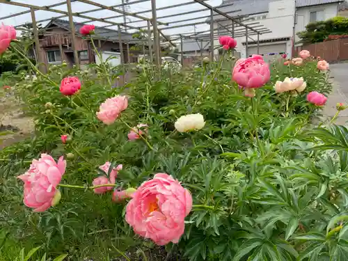 慈眼寺(愛知県)