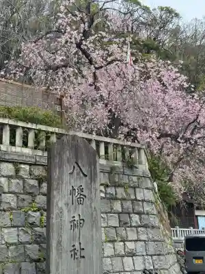 根岸八幡神社の{uncategorized: "未分類", other: "その他", undefined: "問題あり", building: "その他建物", grave: "お墓", sacred_gate: "鳥居", guardian: "狛犬", statue: "像", buddha: "仏像", history: "歴史", nature: "自然", garden: "庭園", animal: "動物", pagoda: "塔", temizu: "手水舎", mountain_gate: "山門・神門", sanctuary: "本殿・本堂", subordinate: "末社・摂社", art: "芸術", scenery: "景色", jizo: "地蔵", ema: "絵馬", goshuin: "御朱印", omikuji: "おみくじ", items: "授与品その他", amulet: "お守り", goshuincho: "御朱印帳", eats: "食事", festival: "お祭り", votive_dance: "神楽", shichigosan: "七五三参", wedding: "結婚式", experience: "体験その他", initially: "初詣", around: "周辺", anti_infection: "感染症対策"}