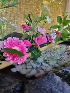 厚別神社の自然(2023年06月11日(日) 09時23分33秒投稿)