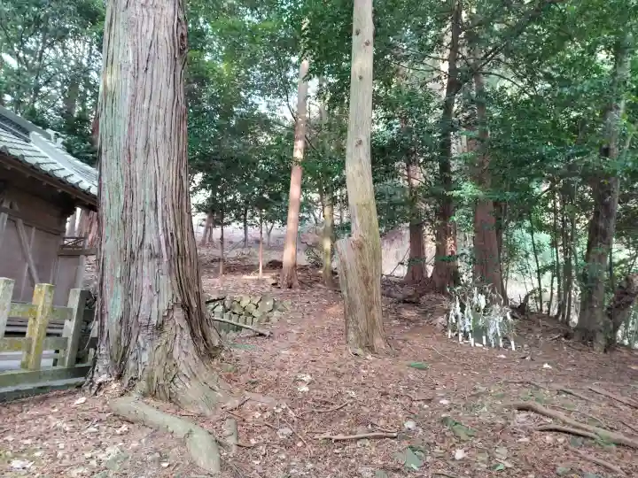 九社神社の{uncategorized: "未分類", other: "その他", undefined: "問題あり", building: "その他建物", grave: "お墓", sacred_gate: "鳥居", guardian: "狛犬", statue: "像", buddha: "仏像", history: "歴史", nature: "自然", garden: "庭園", animal: "動物", pagoda: "塔", temizu: "手水舎", mountain_gate: "山門・神門", sanctuary: "本殿・本堂", subordinate: "末社・摂社", art: "芸術", scenery: "景色", jizo: "地蔵", ema: "絵馬", goshuin: "御朱印", omikuji: "おみくじ", items: "授与品その他", amulet: "お守り", goshuincho: "御朱印帳", eats: "食事", festival: "お祭り", votive_dance: "神楽", shichigosan: "七五三参", wedding: "結婚式", experience: "体験その他", initially: "初詣", around: "周辺", anti_infection: "感染症対策"}