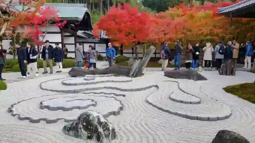圓光寺(京都府)