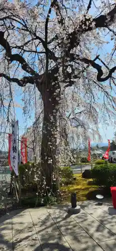 身照寺(岩手県)