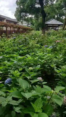 藤森神社(京都府)