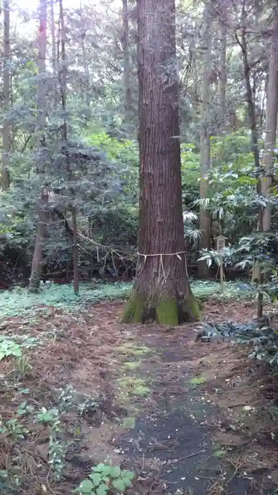 吉田神社のその他建物