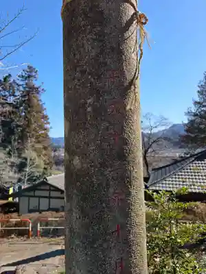白山神社（法泉寺境内） (埼玉県)