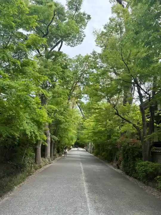 賀茂御祖神社(下鴨神社)の{uncategorized: "未分類", other: "その他", undefined: "問題あり", building: "その他建物", grave: "お墓", sacred_gate: "鳥居", guardian: "狛犬", statue: "像", buddha: "仏像", history: "歴史", nature: "自然", garden: "庭園", animal: "動物", pagoda: "塔", temizu: "手水舎", mountain_gate: "山門・神門", sanctuary: "本殿・本堂", subordinate: "末社・摂社", art: "芸術", scenery: "景色", jizo: "地蔵", ema: "絵馬", goshuin: "御朱印", omikuji: "おみくじ", items: "授与品その他", amulet: "お守り", goshuincho: "御朱印帳", eats: "食事", festival: "お祭り", votive_dance: "神楽", shichigosan: "七五三参", wedding: "結婚式", experience: "体験その他", initially: "初詣", around: "周辺", anti_infection: "感染症対策"}