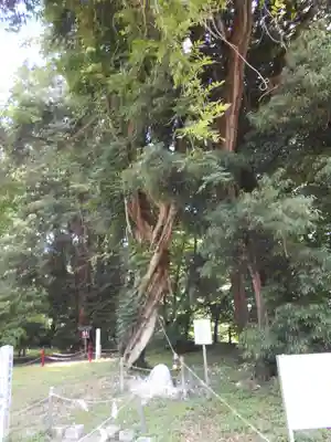 伊佐須美神社(福島県)