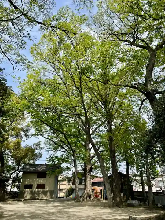 高城神社の{uncategorized: "未分類", other: "その他", undefined: "問題あり", building: "その他建物", grave: "お墓", sacred_gate: "鳥居", guardian: "狛犬", statue: "像", buddha: "仏像", history: "歴史", nature: "自然", garden: "庭園", animal: "動物", pagoda: "塔", temizu: "手水舎", mountain_gate: "山門・神門", sanctuary: "本殿・本堂", subordinate: "末社・摂社", art: "芸術", scenery: "景色", jizo: "地蔵", ema: "絵馬", goshuin: "御朱印", omikuji: "おみくじ", items: "授与品その他", amulet: "お守り", goshuincho: "御朱印帳", eats: "食事", festival: "お祭り", votive_dance: "神楽", shichigosan: "七五三参", wedding: "結婚式", experience: "体験その他", initially: "初詣", around: "周辺", anti_infection: "感染症対策"}